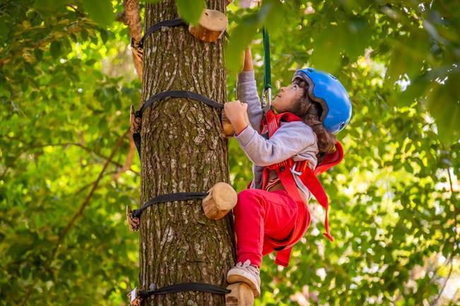 Parque Vicentina Aranha comemora o Dia das Crianças com programação especial