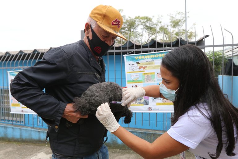 Jacareí realiza vacinação antirrábica neste domingo