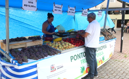 Ponto da Economia de Jacareí inicia vendas de frutas da época