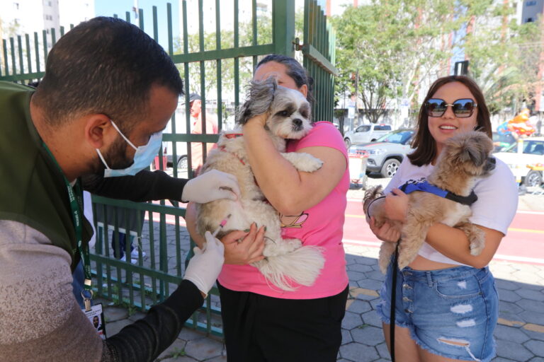 Jacareí realiza vacinação antirrábica para cães e gatos neste sábado