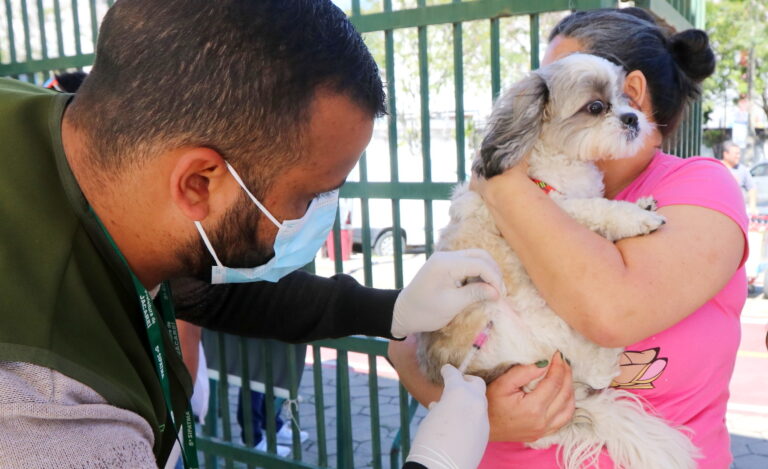 Jacareí realiza vacinação antirrábica para cães e gatos neste sábado no Parque da Cidade