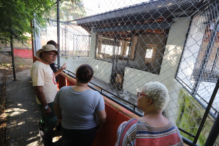 Abrigo de animais em Jacareí  recebe dezenas de visitas em ação especial de adoção