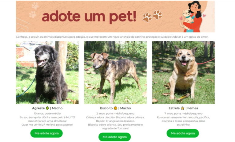 Adoção Responsável e Proteção Animal: Jacareí lança sites exclusivos da causa animal