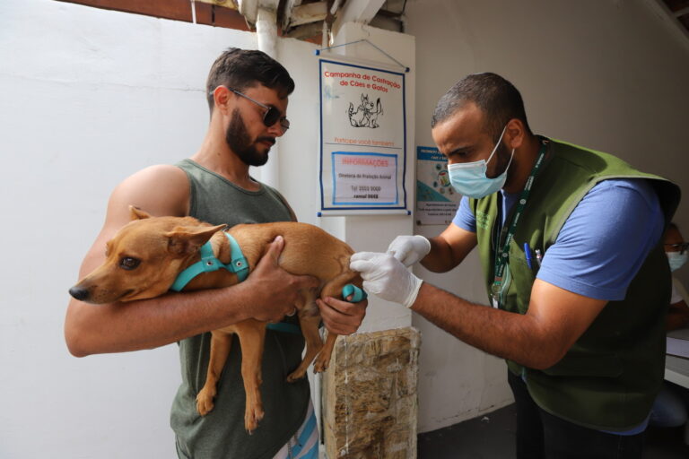 Jacareí realiza vacinação antirrábica para cães e gatos neste sábado