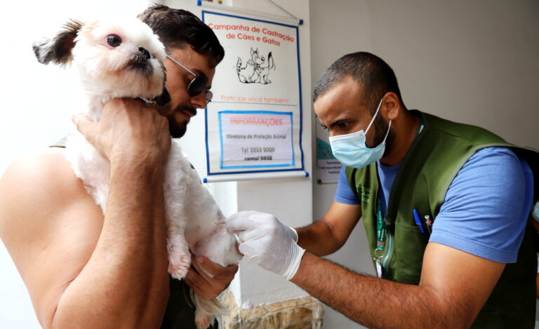 Jacareí realiza vacinação antirrábica para cães e gatos neste sábado