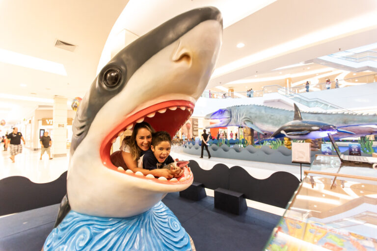 Shopping em São José recebe exposição gratuita que mostra os mistérios do fundo do mar