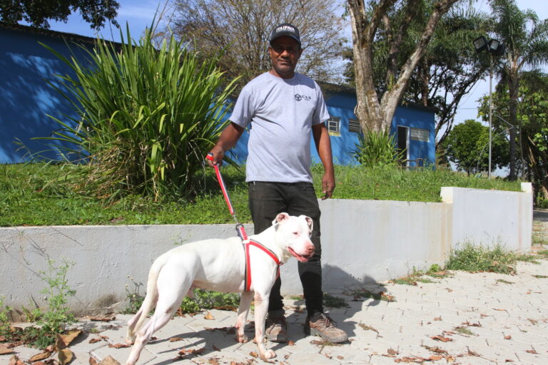 Conheça Theodoro, o pitbull que encontrou uma nova família por meio do Adote!, o site de adoção animal em Jacareí