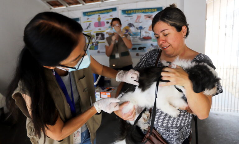 Jacareí realiza vacinação antirrábica para cães e gatos neste fim de semana