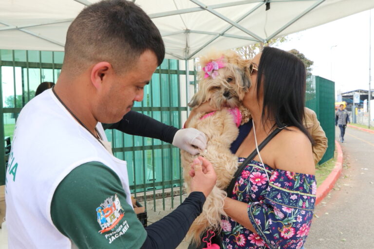 Jacareí realiza vacinação antirrábica para cães e gatos neste domingo