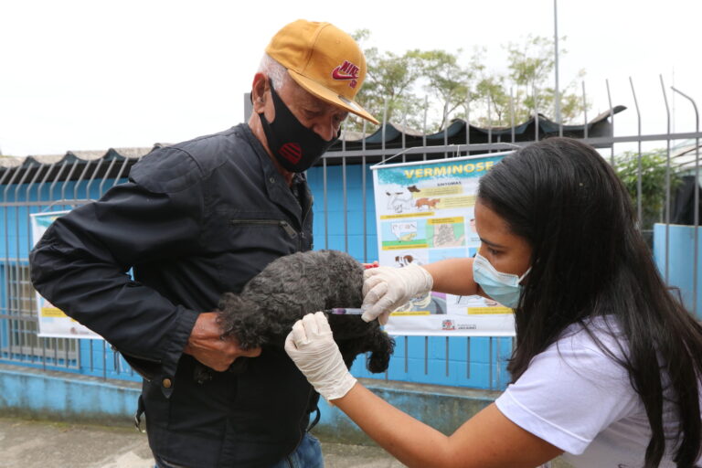 Jacareí realiza vacinação antirrábica para cães e gatos no sábado