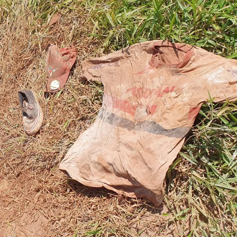Polícia Civil encontra ossada humana em Jacareí