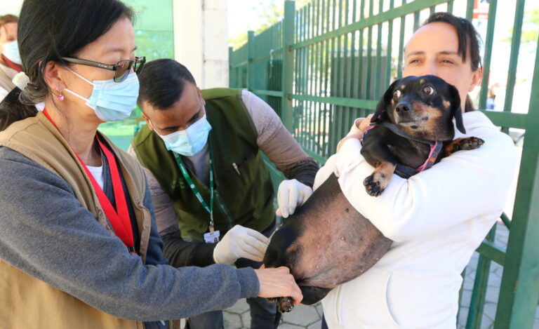 Jacareí realiza vacinação antirrábica para cães e gatos neste sábado