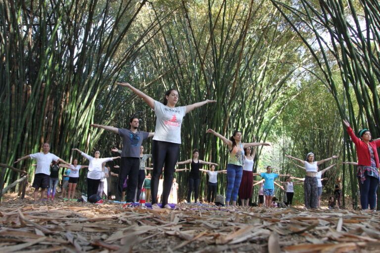 Viveiro de Jacareí tem aulas gratuitas de Yoga