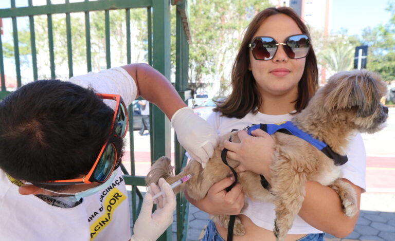 Jacareí oferece vacina importada V4 para felinos e V10 para cães, de forma gratuita, para famílias inscritas no CadÚnico