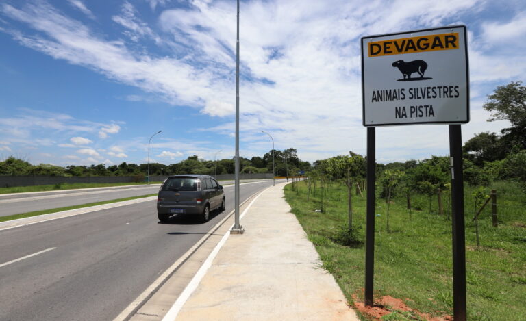 Sinalização na avenida Mário Covas é reforçada sobre presença de capivaras no local