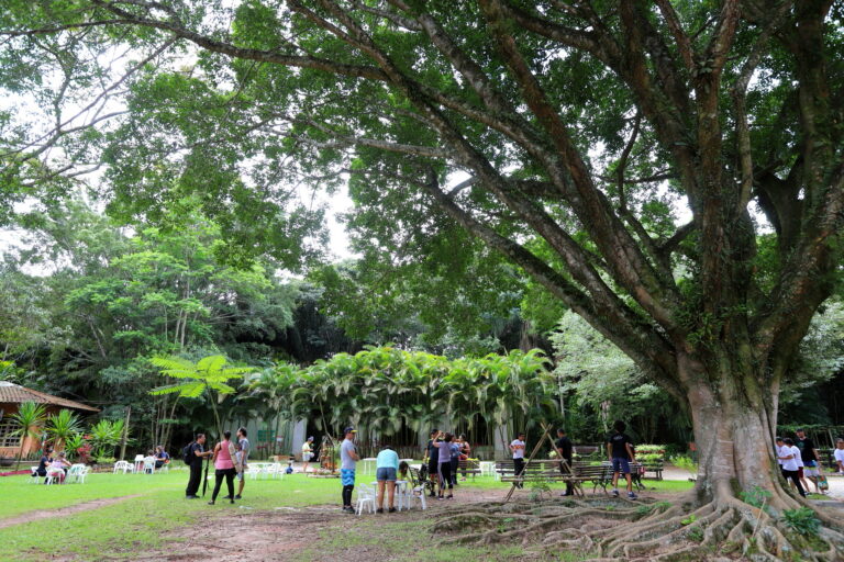 Evento em Jacareí no domingo terá trilha ecológica, caça ao tesouro e oficinas gratuitas