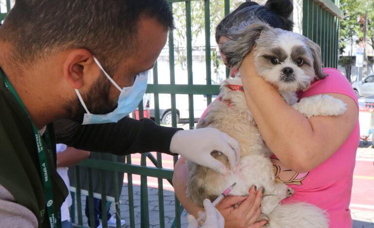 Jacareí realiza vacinação antirrábica para cães e gatos no domingo no Parque da Cidade