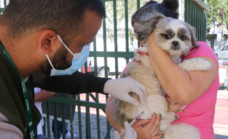 Jacareí realiza vacinação antirrábica para cães e gatos no domingo no Parque da Cidade