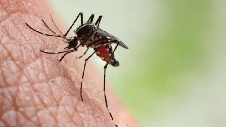 Após exame, prefeitura descarta segunda morte por dengue em Jacareí