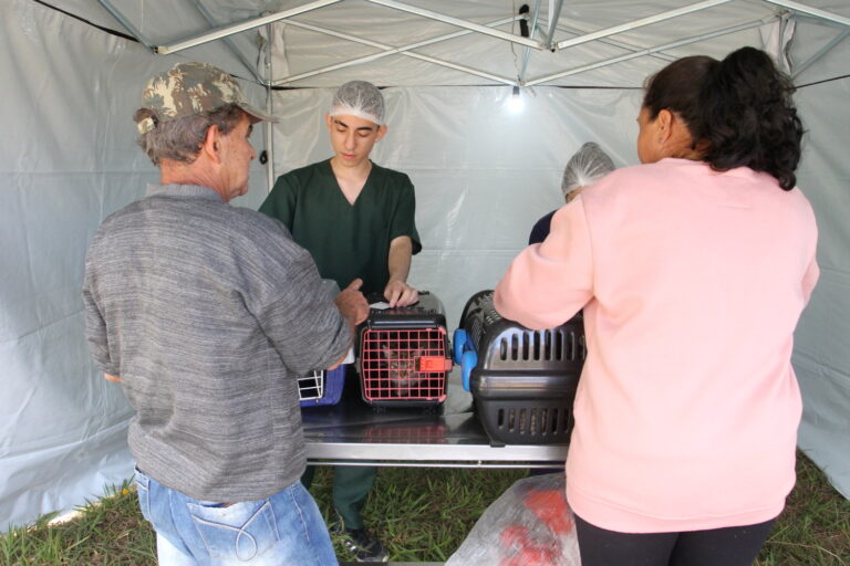 Jacareí realiza microchipagem em pets e emissão de Registro Geral de Animal durante evento de adoção neste sábado