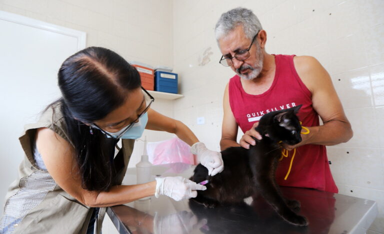 Jacareí realiza vacinação antirrábica para cães e gatos neste sábado