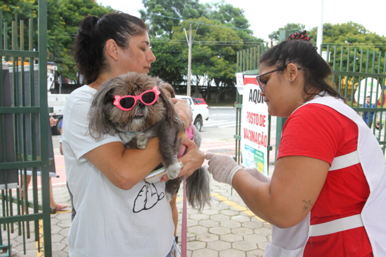 Jacareí realiza vacinação antirrábica para cães e gatos neste sábado no Parque Meia Lua