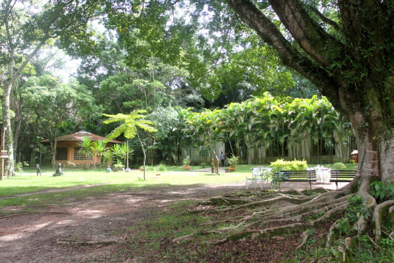 Jacareí tem inscrições abertas para nova turma de “Formação de Agente em Educação Ambiental”