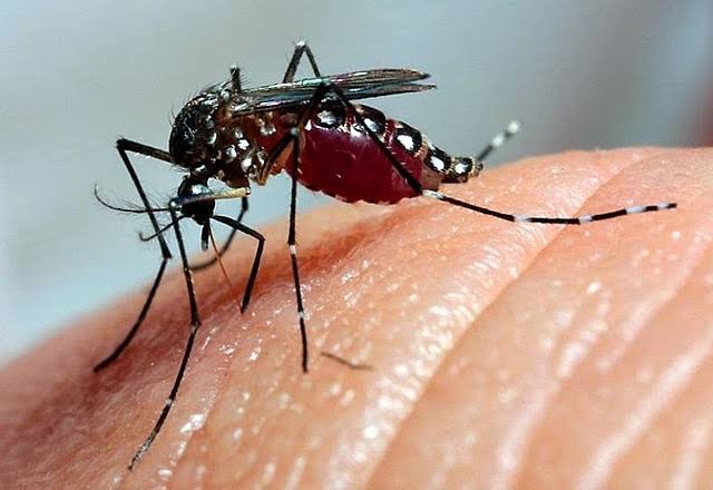 Jacareí confirma mais uma morte por dengue na cidade