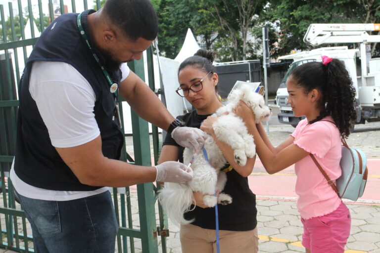 Jacareí realiza vacinação antirrábica para cães e gatos neste sábado no Jardim Siesta