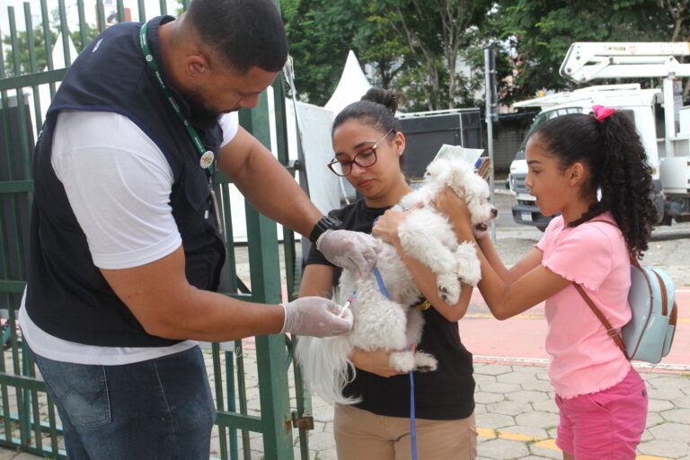 Jacareí realiza vacinação antirrábica para cães e gatos neste sábado