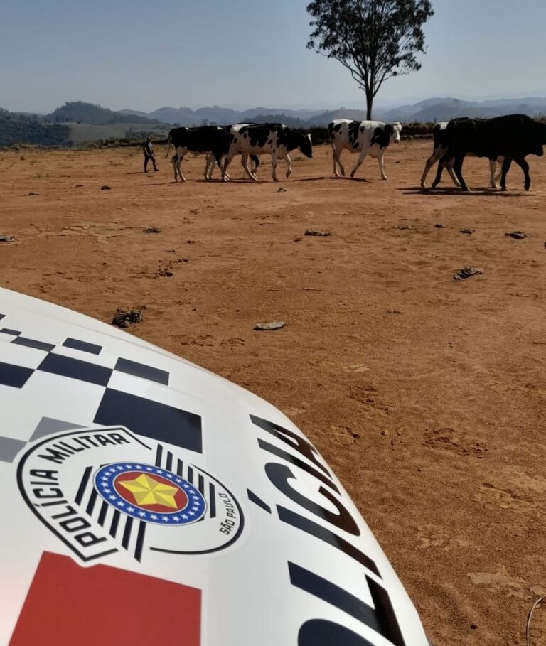 PM prende homem por receptação de gado em Jacareí