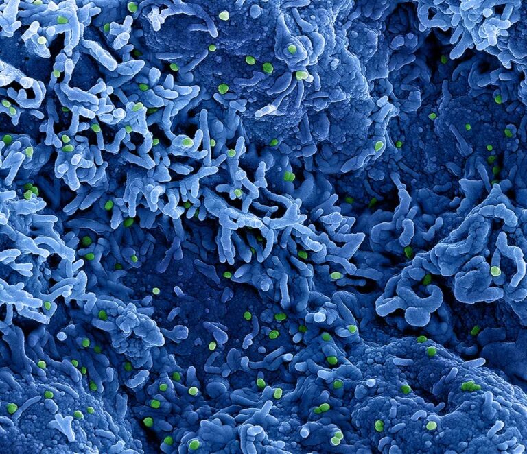 Jacareí confirma primeiro caso de MPox em 2024; entenda a doença