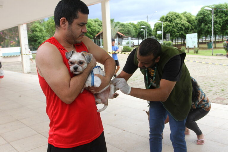 Jacareí realiza vacinação antirrábica para cães e gatos, neste sábado