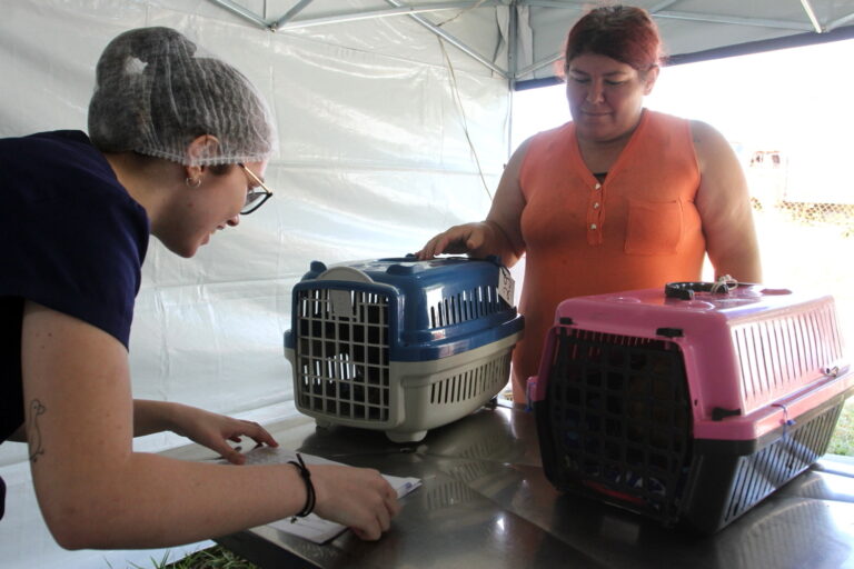 Sest Senat realiza evento com microchipagem de animais domésticos neste sábado
