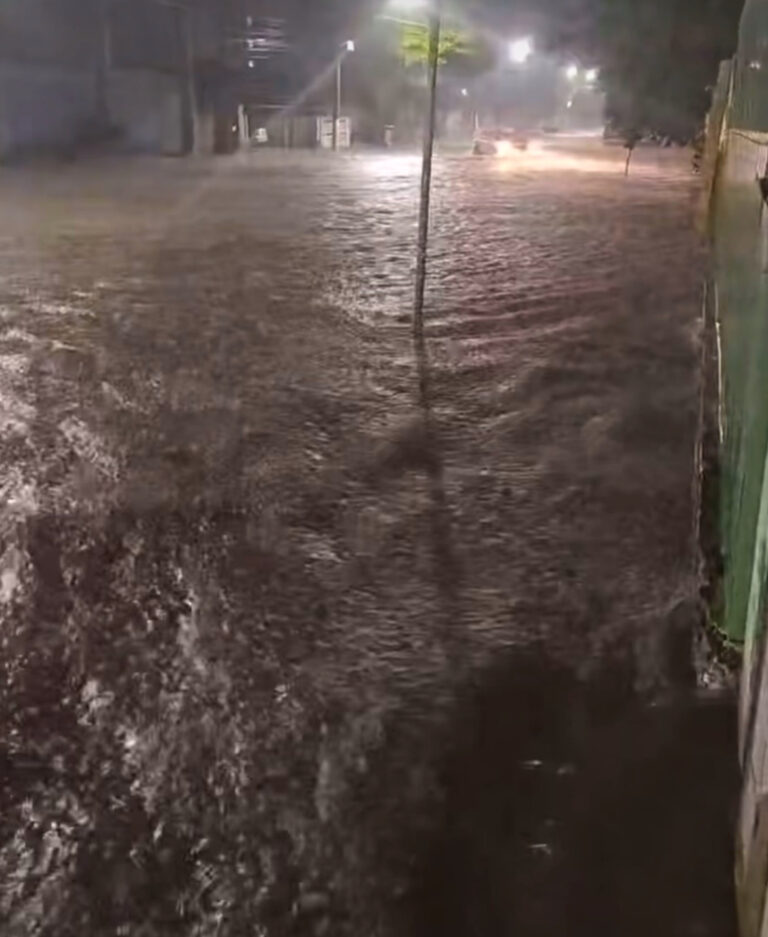 Chuva interdita casa e derruba 13 árvores em Jacareí