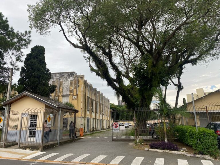Diretoria de Proteção Animal passa a atender em novo endereço a partir de terça-feira em Jacareí