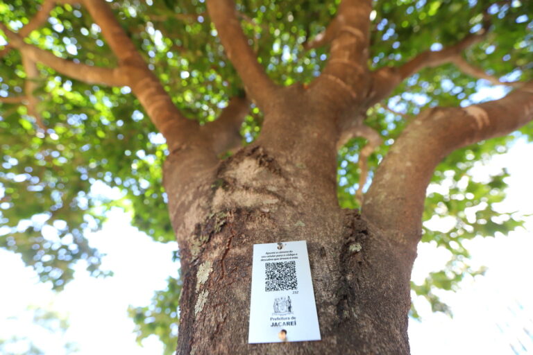 Jacareí lança QR Code que traz dados sobre árvores da cidade