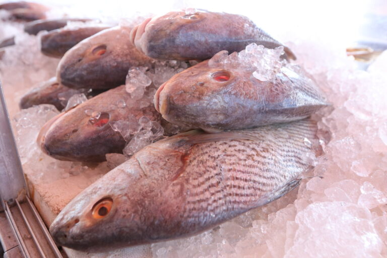 Cuidados na hora de comprar pescados: veja orientações sobre os principais pontos de atenção