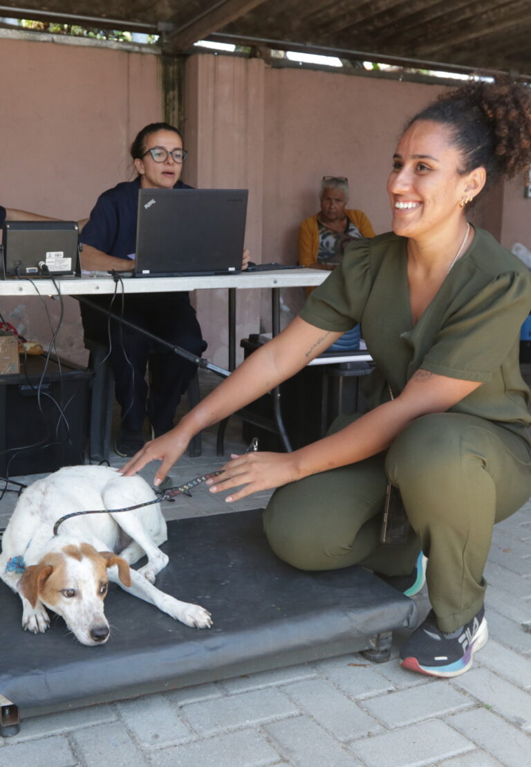 Proteção Animal tem cadastro para castração de cães e gatos para região do Lagoa Azul